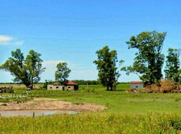 MIG-MIG-5100_2 · Campo 275 Hectáreas |. | Ruta 95 Al Km00