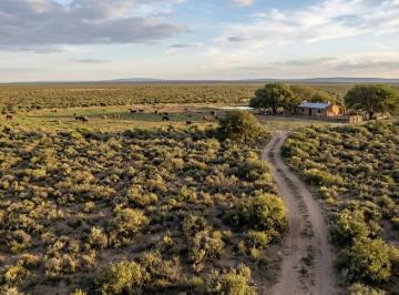 Campo , Chuña · Chuña - Norte de Cordoba 500has de Monte a 30 Km de Dean Funes y a 30 de Cruz del