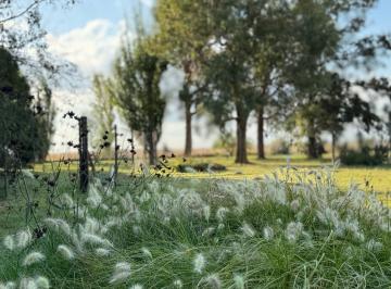 Campo · 160m² · 4 Ambientes · Chacra de 6 Hectáreas con Casa de Campo, Parque Arbolado y Piscina – Entorno Único en Los Alrededore
