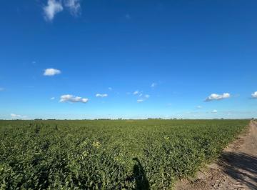 Campo · 81700m² · Campo en Ricardone