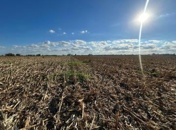 Campo · 175000m² · Campo en Ricardone