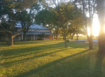 Casa · 425m² · 9 Ambientes · Campo en Venta 15 Ha en Pergamino