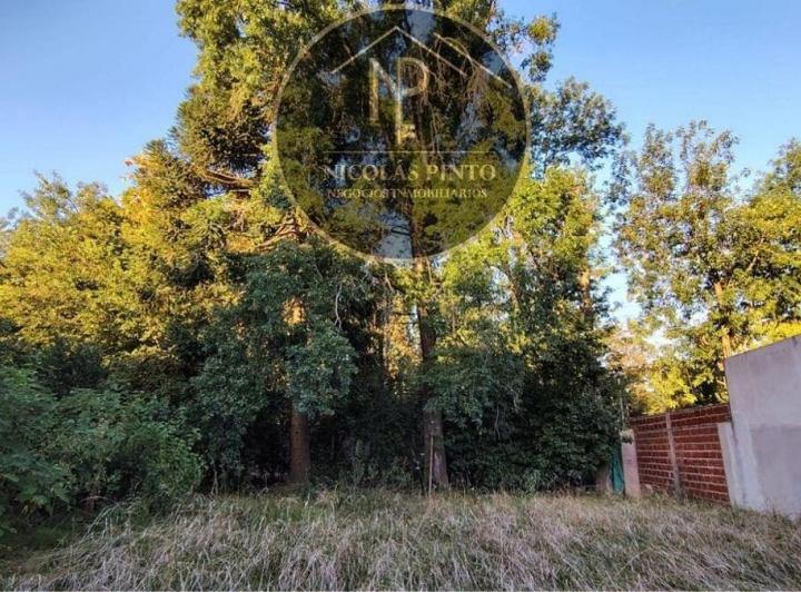 Terreno · 550m²