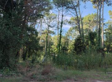 Terreno , Cariló · Terreno con Excelente Ubicación, a Solo 4 Cuadras del Centro Comercial
