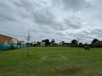 Terreno · 482m² · Adg. Oportunidad en San Ramon, Pilar del Este