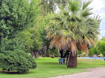 Campo , Rama Caída · Finca Productiva en Venta en San Rafael, 6.67 Ha Entorno Natural Privilegiado