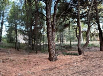 Terreno , Pehuen-có · Venta Terreno en El Centro de Pehuen Co