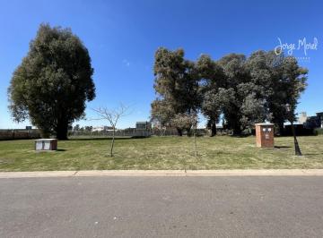 Foto Principal · Lote Venta San Ramón