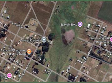 Terreno · 197m² · Venta - Lote de 197 m. en Barranca Los Lobos