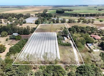 Campo · 34000m² · Mar del Plata - 3.4 Ha Zona Acantilados