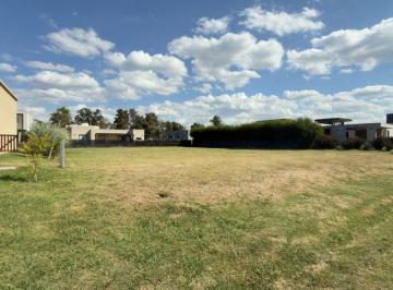 Terreno , Moreno · Terreno / Lote en Venta de 884 m² Ubicado en Francisco Álvarez
