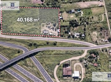 Terreno · 40000ha · Terreno en Los Aguirre