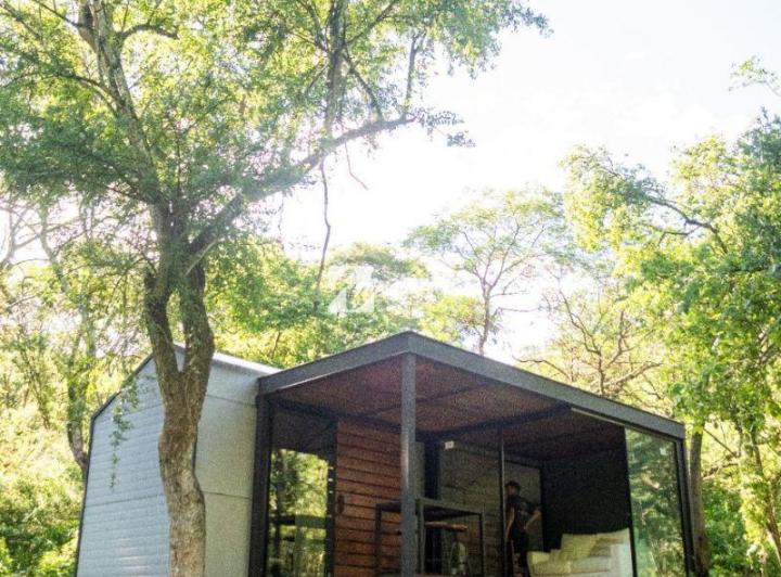 Campo · 42m² · 2 Ambientes