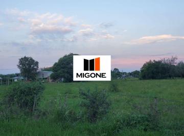 MIG-MIG-5081_2 · Lote. | 11 de Septiembre Al 100