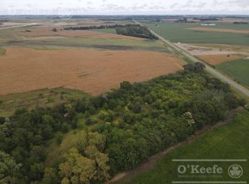 Campo · 42000m² · Chacra de 4 Has en Venta en Alberti