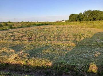 Terreno · 1040m² · Lote en Venta de 1040 m² - Arana, La Plata