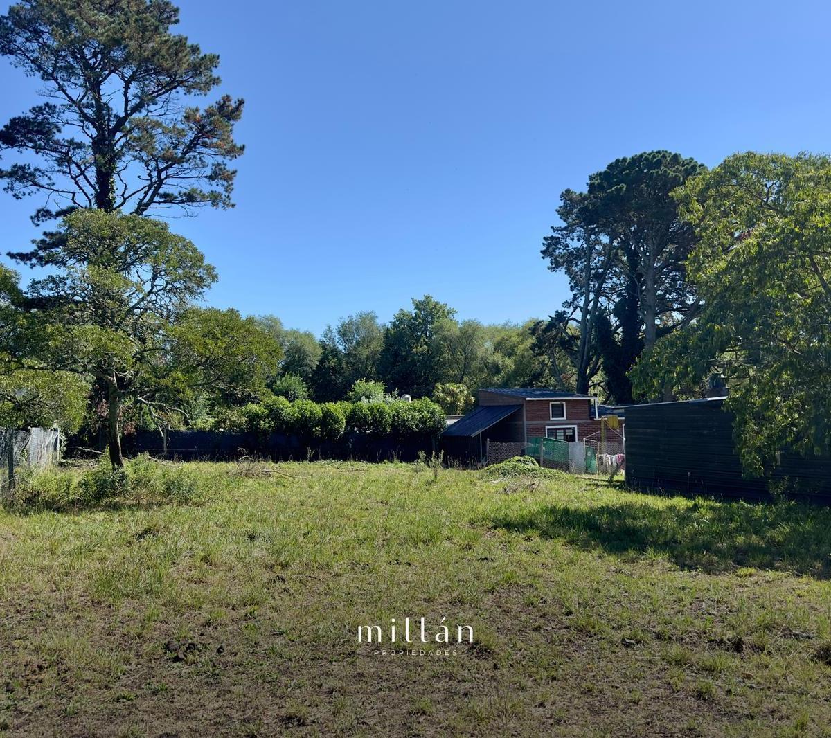 Excelente lote ubicado en el barrio Colinalegre, uno de los entornos más buscados