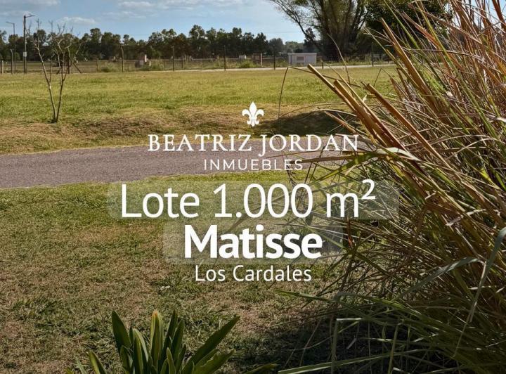 Terreno · 1000m²