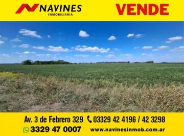 Campo , Saavedra · Oportunidad Única Campo en Ramallo: 80 Hectáreas Mixtas