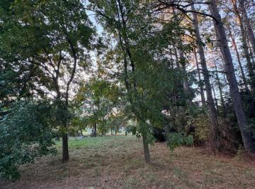 Terreno en Venta  Guernica · Hermoso y Amplio Lote con Pinos en Barrio Cerrado Parque Las Naciones