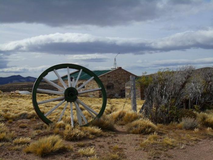 Campo · 1200ha · 5 Ambientes