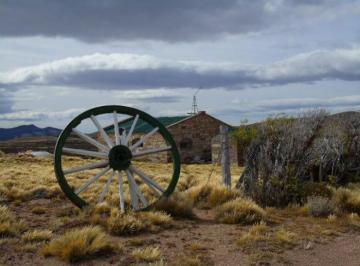 Campo · 1200ha · 5 Ambientes · Campo - Gobernador Gregores