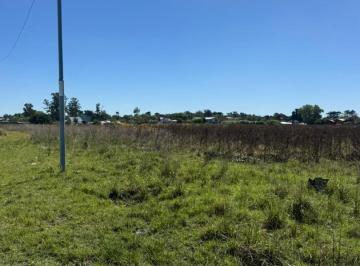Quinta vacacional · 27000m² · Quinta de Cuatro Manzanas