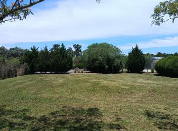 Foto Principal · Lote Interno # - San Matías - Area 2 - 1103 m² #id 13735