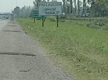 Campo · 223m² · 3 Ambientes · Campo en Cañuelas