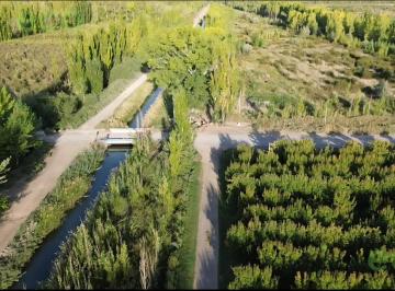 Campo · 200m² · Venta Chacra 6,5 Ha Allen