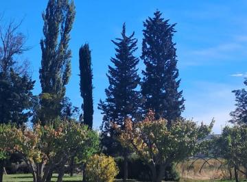 Quinta vacacional de 3 ambientes, Gaiman · Quinta con Casa y Galpon, Frutales, Piscina
