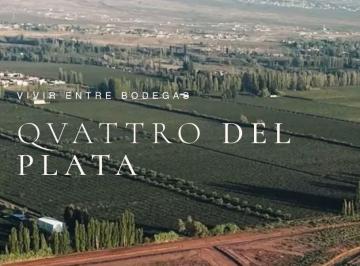 Terreno , Vistalba · Lote en Venta Qvattro del Plata