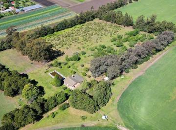 Campo · 750000ha · 2 Ambientes · Campo en Mechongue
