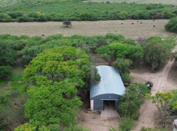 Campo , Cruz del Eje · Campo Mixto, Zona Cruz del Eje