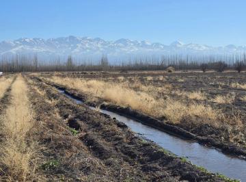 Campo , Tunuyán · Contacto Propiedades Inmobiliaria Vende Finca