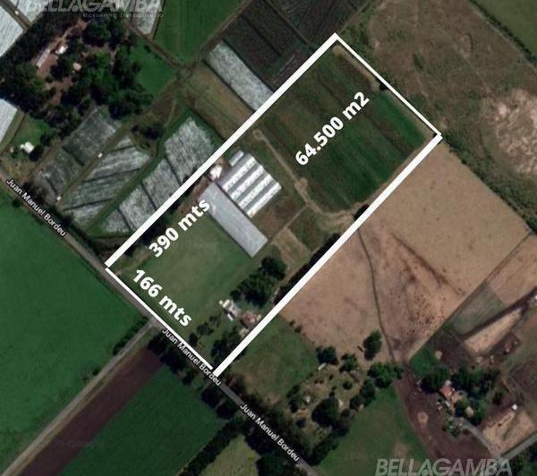 Campo · 142m²