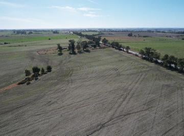 Campo · 3000000ha · Campo en Venta Colonia - Ruta 2 - Agrícola