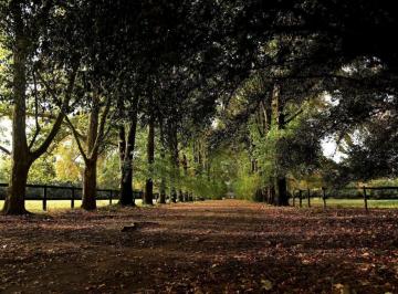 Terreno · 819m² · Terreno Al Bosque en Venta - Almahué - La Lonja Pilar