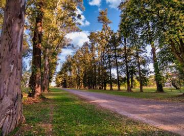 Terreno · 1000m² · Venta Lote N° 125 | Barrio Polo en Tres Pinos, General Rodriguez - Acepta Permuta