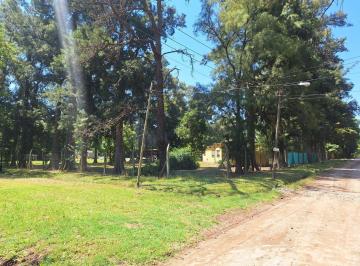 Terreno · 382m² · Terreno en Centro Agricola El Pato