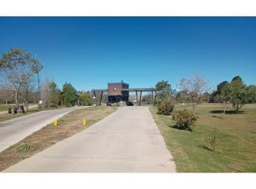 Terreno · 1193m² · Campo Timbó · Oliveros · Terreno · Venta