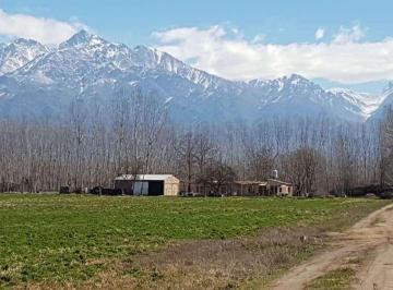 Campo , Tunuyán · Finca con 10026 m² en Venta en Tunuyán