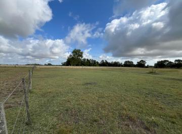 Terreno · 20000m² · Importante Lote en Venta en Los Naranjos