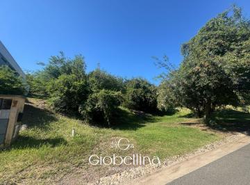 Foto · Lote Terreno en Country La Rufina, Últimos Lotes en Barrio Consolidado Excelente Ubicación