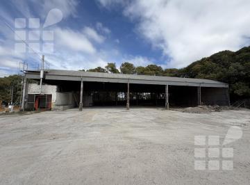 Bodega-Galpón · 204m² · Galpón en La Plata