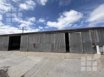 Bodega-Galpón · 200m² · Galpón en La Plata