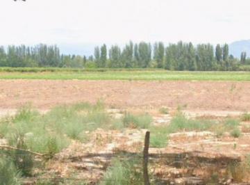 Campo , Agrelo · Finca 11 Has en Agrelo Ideal Proyecto Eno Turístico