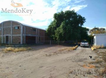 Campo , Junín · Venta de Finca 34 Has con Bodega - Phillip, Junin, Mza