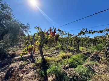 Campo · 670ha · Finca en Barrancas