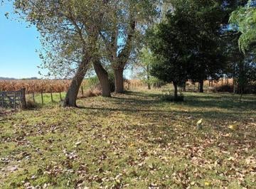 Campo · 450000m² · Campo en Las Flores